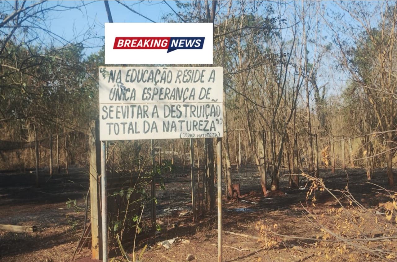 Incêndio atinge Viveiro de Mudas de Ilha Solteira e Secretaria do Meio Ambiente permanece em silêncio