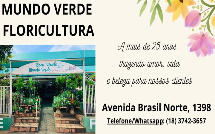 Mundo Verde Floricultura