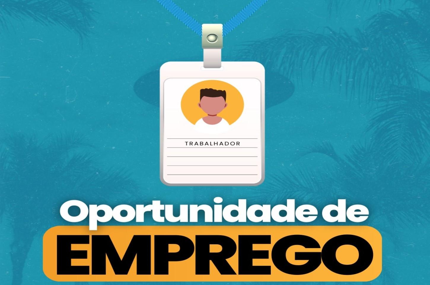 Mutirão do Emprego oferece vagas em diversas áreas em Ilha Solteira