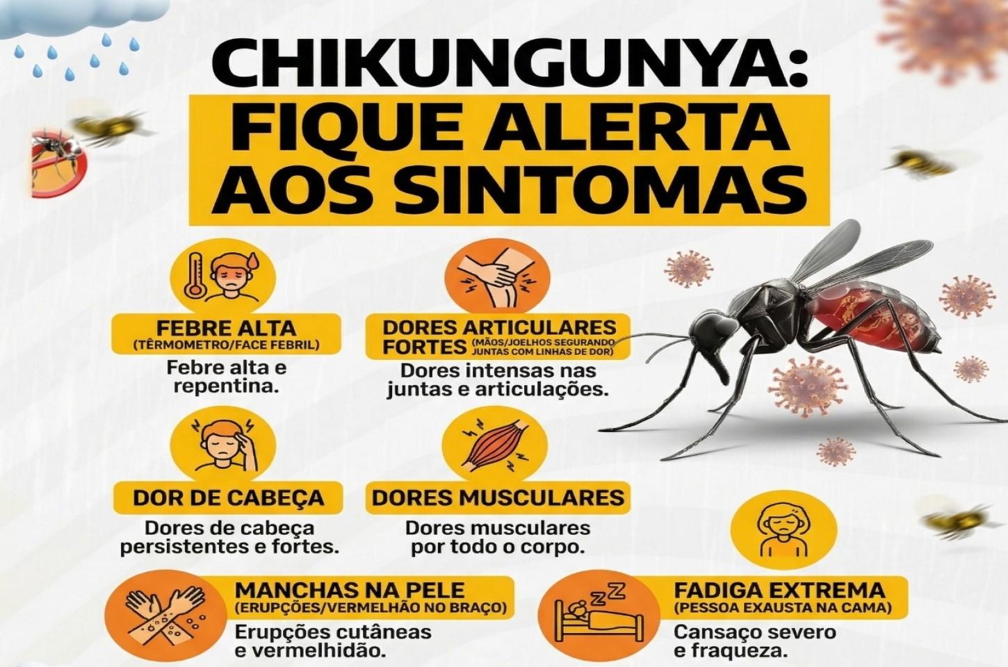 ALERTA DE SAÚDE EM ILHA SOLTEIRA: CASOS DE CHIKUNGUNYA AUMENTAM E PREOCUPAM AUTORIDADES