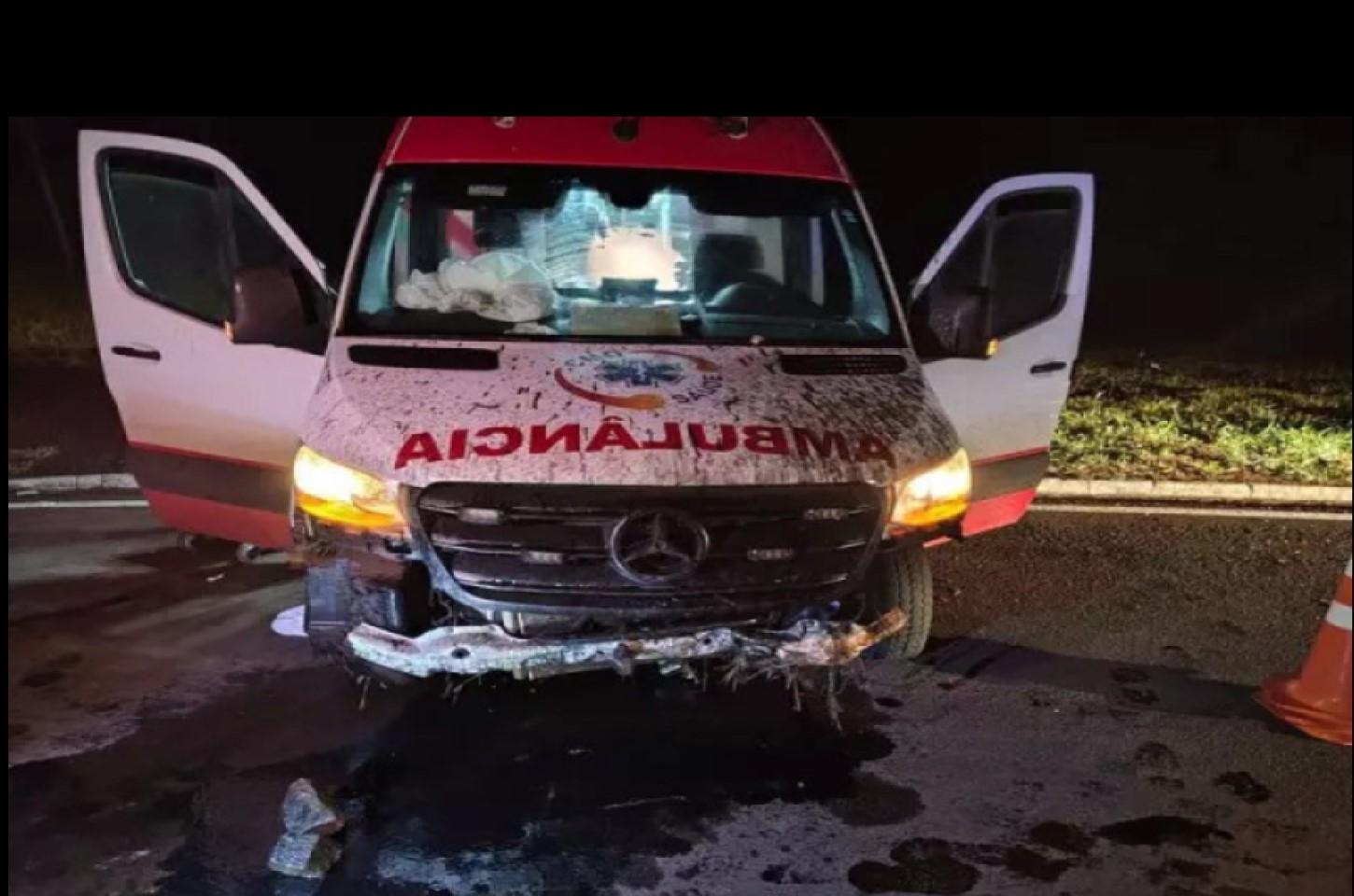 Ambulância com gestante entubada se envolve em acidente na BR-262 durante a madrugada