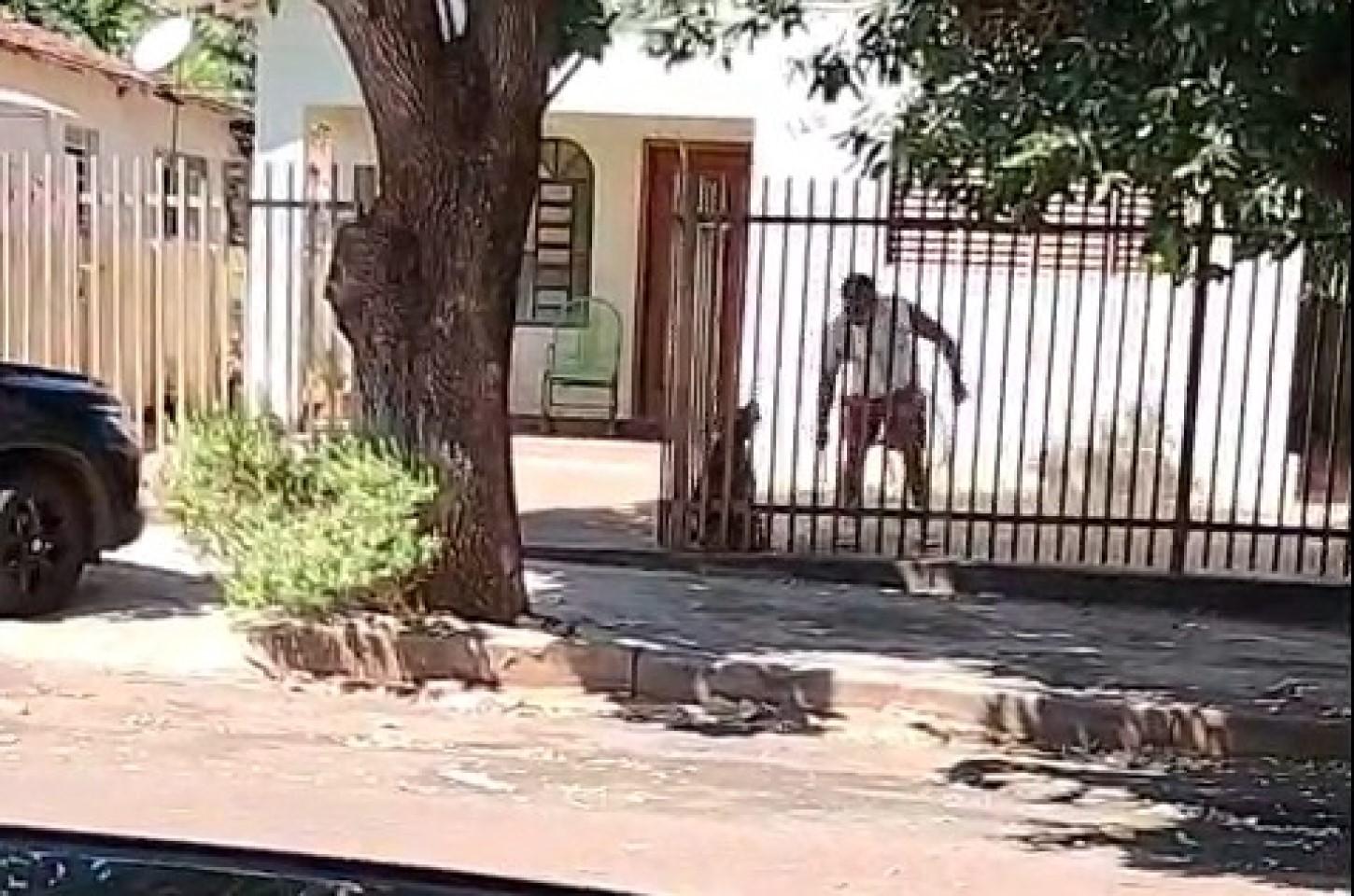 Caso de maus-tratos em Andradina mobiliza autoridades e reacende debate sobre punição aos agressores