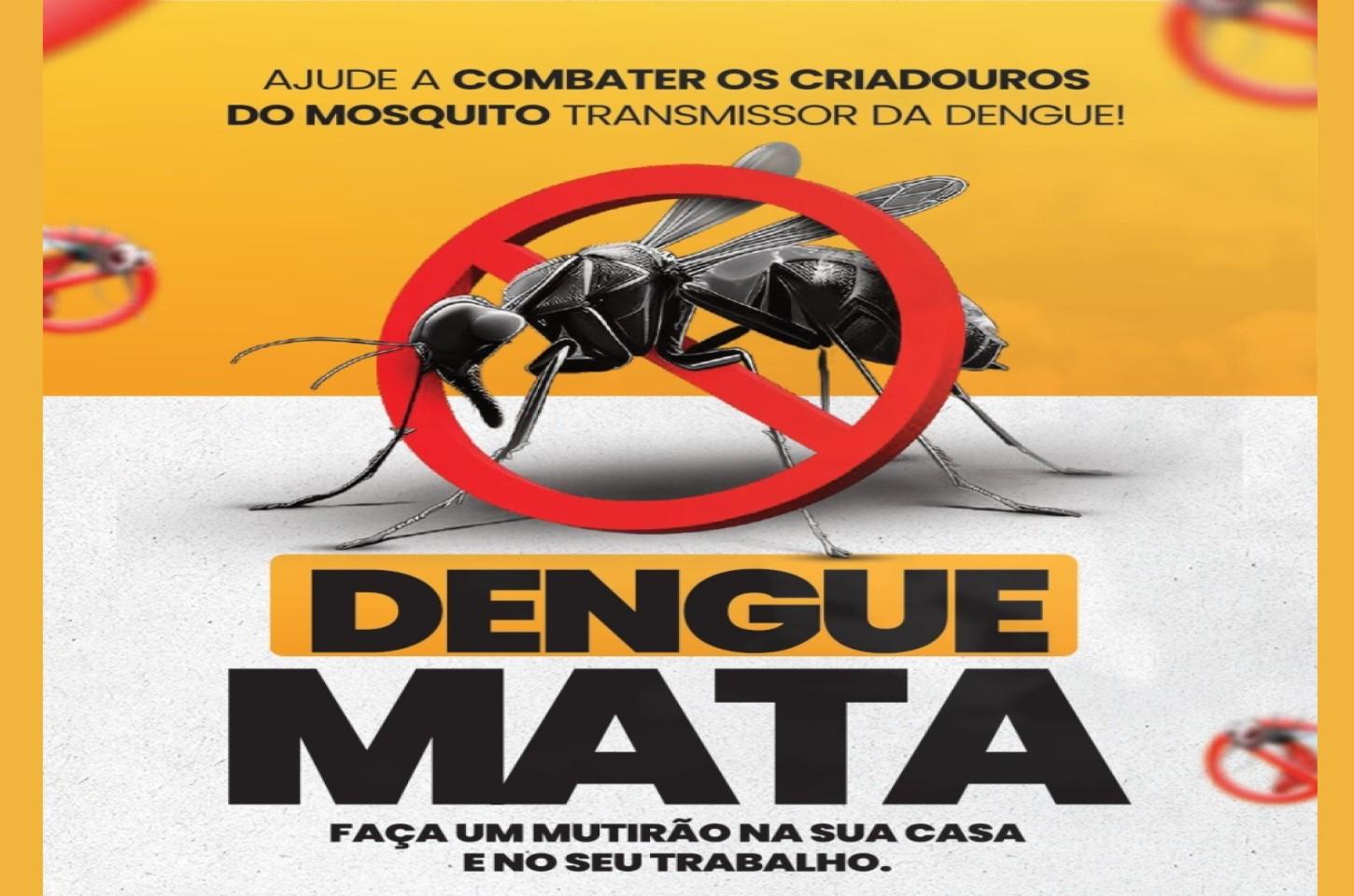 ALERTA CONTRA A DENGUE: Cidade inicia força-tarefa para medir risco de infestação do mosquito
