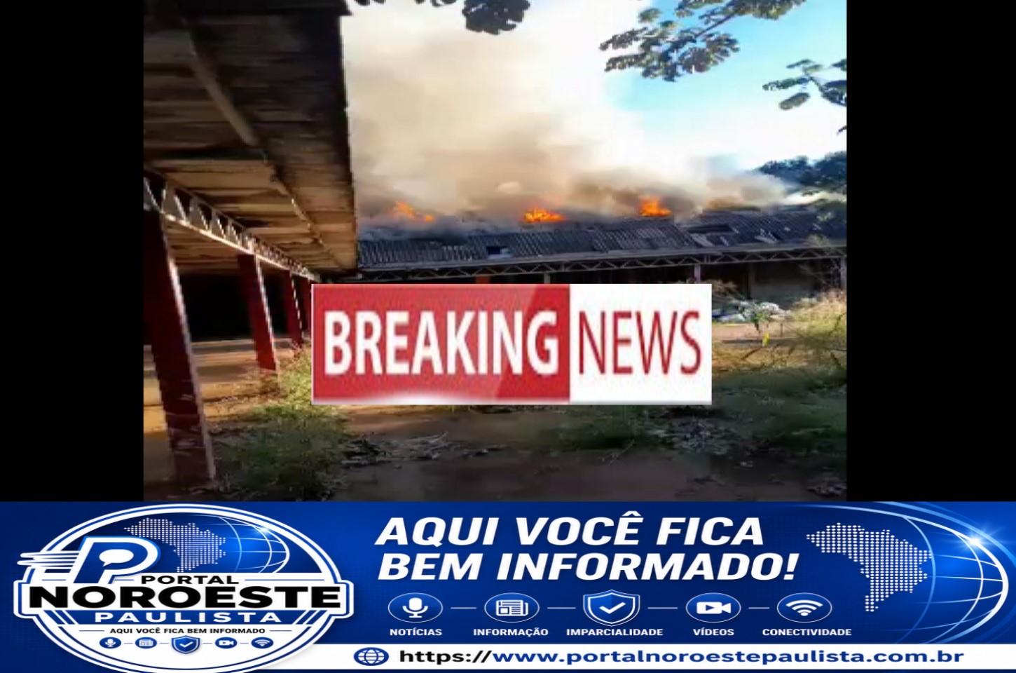 CRÔNICA DE UMA MEMÓRIA EM CHAMAS