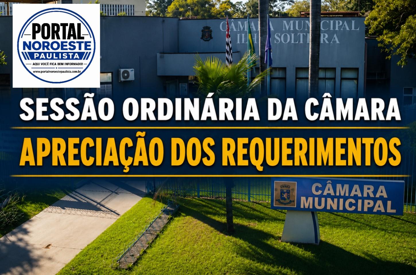 Câmara de Ilha Solteira aprova por unanimidade quatro requerimentos na 58ª Sessão Ordinária