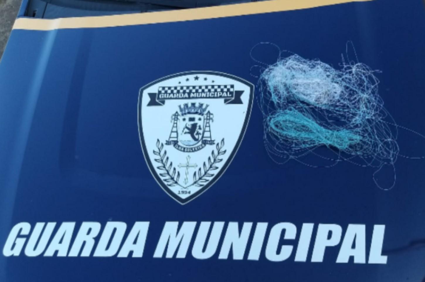 Guarda Municipal remove linha com cerol e evita possível acidente na SP-310 em Ilha Solteira