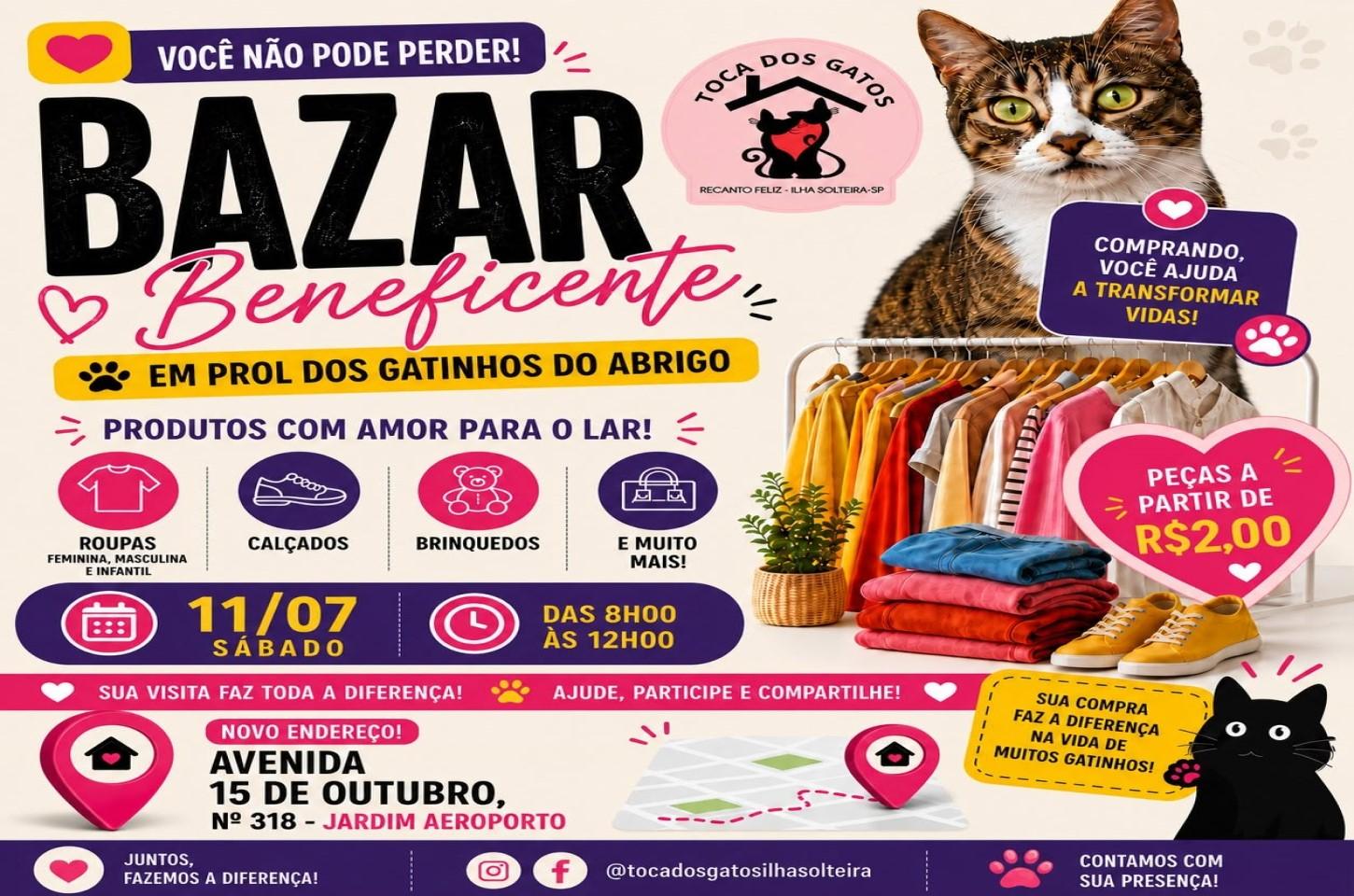 Bazar Beneficente da Toca dos Gatos acontece neste sábado com peças a partir de R$ 2 em Ilha Solteira