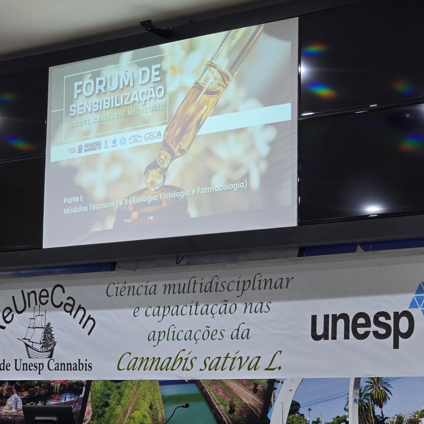 Pereira Barreto promove debate sobre cannabis medicinal e destaca atendimento gratuito pelo SUS municipal
