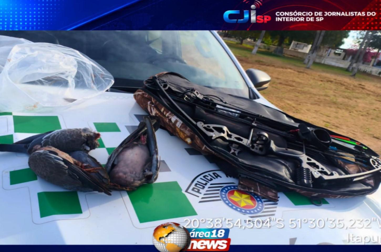 Polícia Militar Ambiental autua homem por caça ilegal de aves silvestres em Itapura