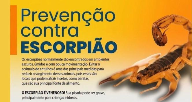 Vigilância Epidemiológica alerta para aparecimento de escorpiões em residências de Ilha Solteira