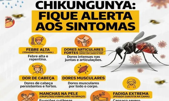 ALERTA DE SAÚDE EM ILHA SOLTEIRA: CASOS DE CHIKUNGUNYA AUMENTAM E PREOCUPAM AUTORIDADES