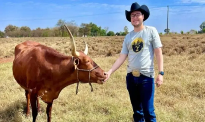 Andradina ganha destaque no Brasil pela criação da raça Texas Longhorn