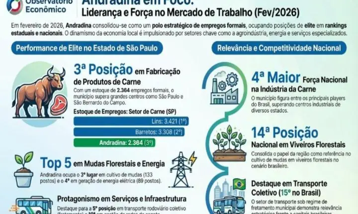 ANDRADINA SE DESTACA NA GERAÇÃO DE EMPREGOS E GANHA PROTAGONISMO NO ESTADO E NO PAÍS