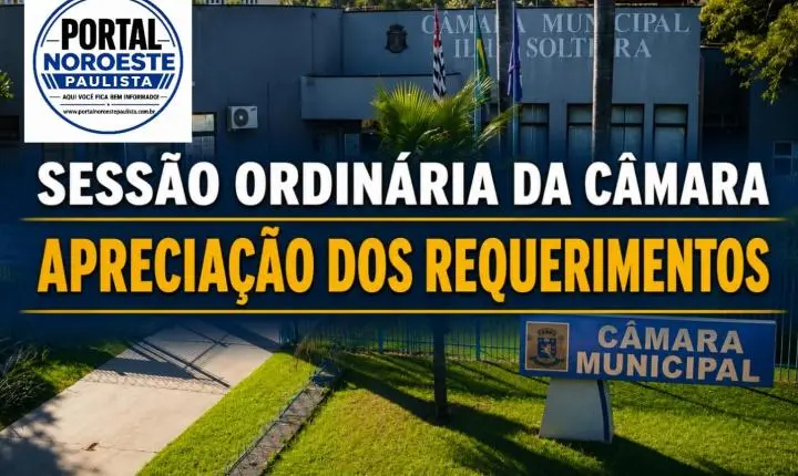 Câmara de Ilha Solteira aprova por unanimidade quatro requerimentos na 58ª Sessão Ordinária