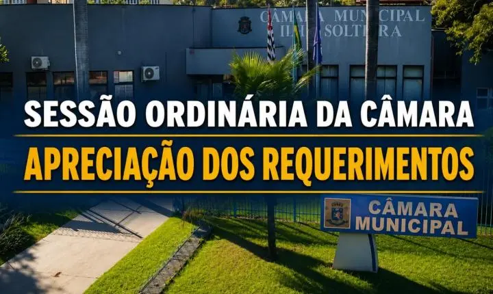 Câmara de Ilha Solteira aprova quatro requerimentos de informações na 61ª Sessão Ordinária