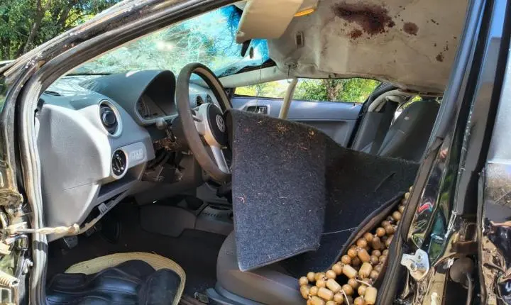 Capotamento na madrugada mata estudante da Unesp em Ilha Solteira