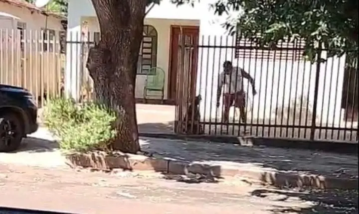 Caso de maus-tratos em Andradina mobiliza autoridades e reacende debate sobre punição aos agressores