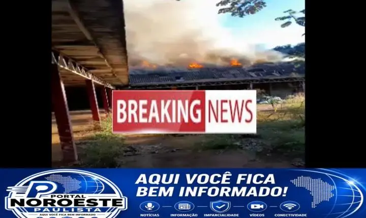 CRÔNICA DE UMA MEMÓRIA EM CHAMAS