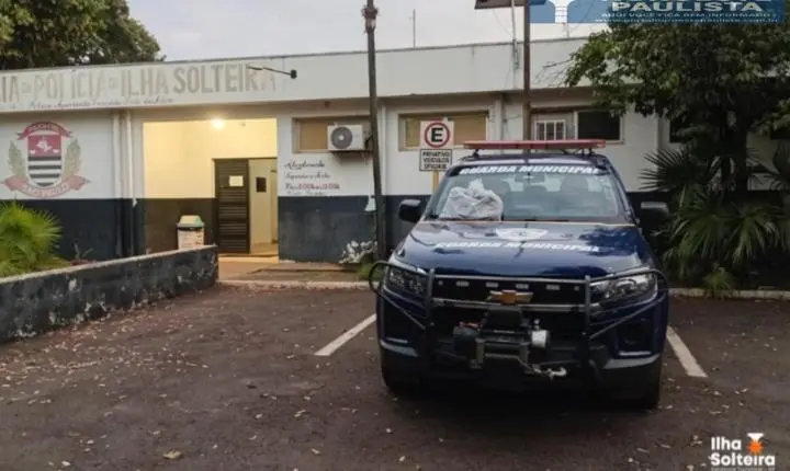 Portal corrige informação e destaca atuação integrada da Segurança Pública em Ilha Solteira