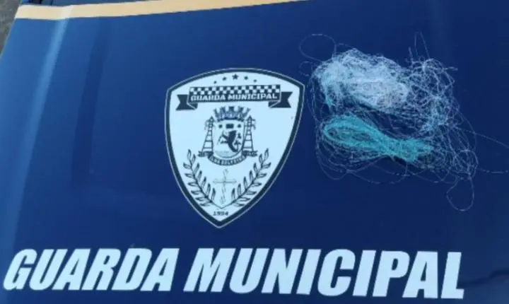 Guarda Municipal remove linha com cerol e evita possível acidente na SP-310 em Ilha Solteira