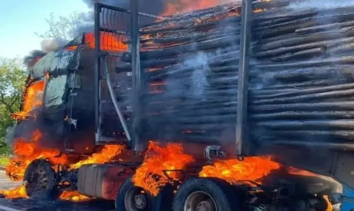 Incêndio destrói carga de eucalipto e atinge caminhão tritrem na BR-158