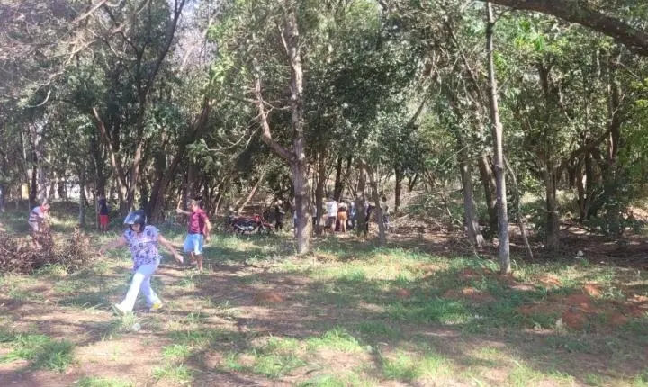 Motociclista fica ferido após perder o controle da direção e colidir contra árvore em Ilha Solteira