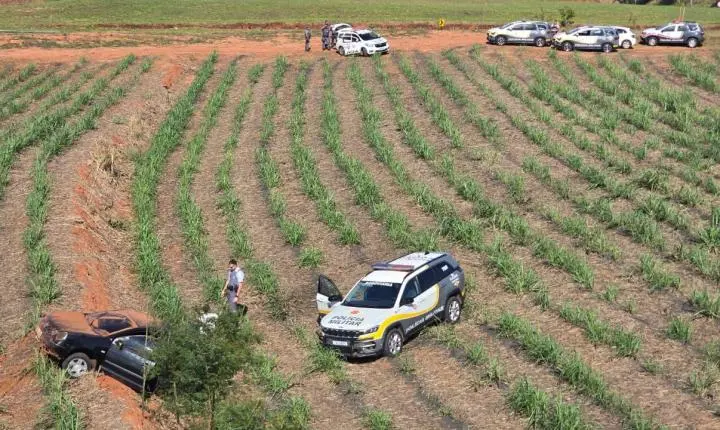 Polícia apreende 693 quilos de maconha após perseguição na SP-425
