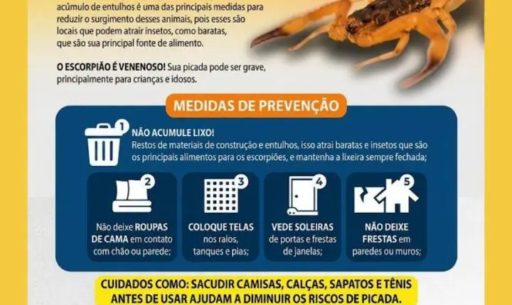 Vigilância Epidemiológica alerta para aparecimento de escorpiões em residências de Ilha Solteira
