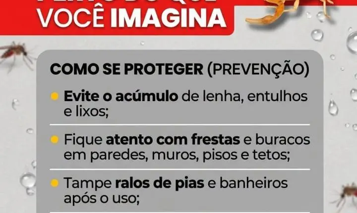 Vigilância Epidemiológica alerta para aparecimento de escorpiões em residências de Ilha Solteira